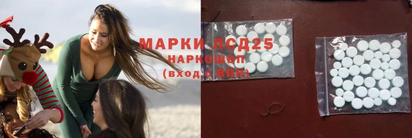 spice Усинск