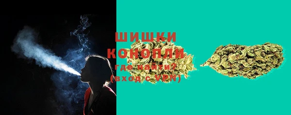 spice Усинск