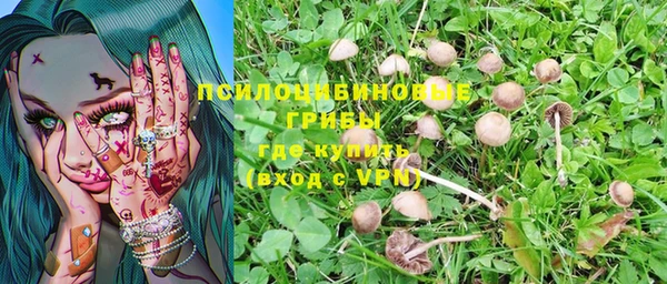 тгк Усмань