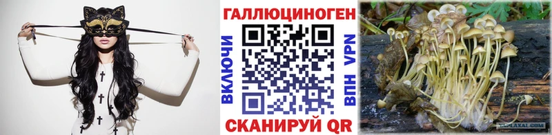 Псилоцибиновые грибы GOLDEN TEACHER  даркнет сайт  Нахабино 